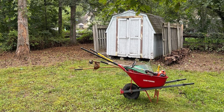 Southern Maryland overgrowth removal services clearing brush, weeds, and tall grass to restore a res