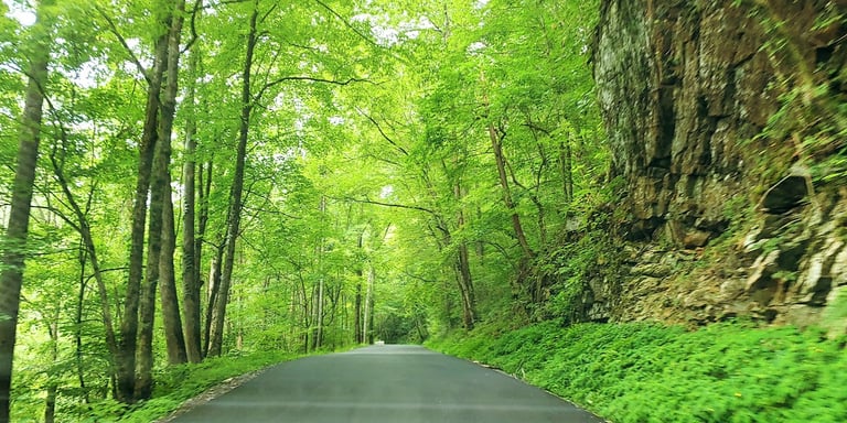 Tellico Plains TN - Hwy 68 thru the beautiful Cherokee National Forest