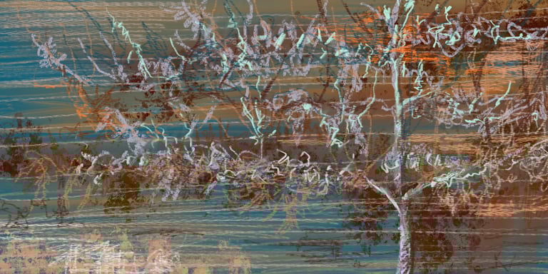 Scotney Castle espaliered trees - digital drawing