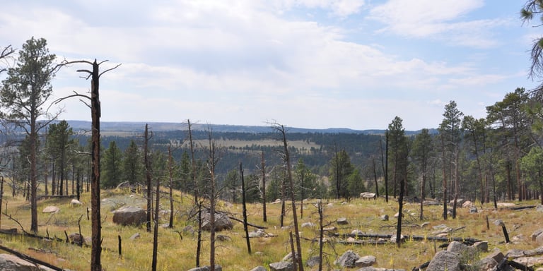 devils tower surrounding prairie wyoming