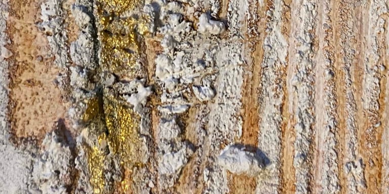 Détails de la toile acrylique et mixed média appelée " Croustillant doré" 