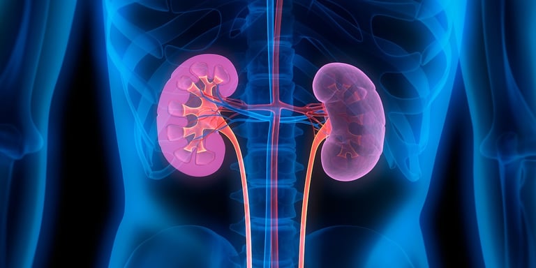 vascular ultrasound renal artery stenosis high blood pressure stent kidney disease function diabetes fibromuscular dysplasia