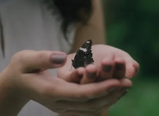 a woman holding a butterfly on her hands, resilient ecosystem, cuh2o,