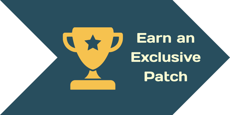 Earn and Exclusive Patch