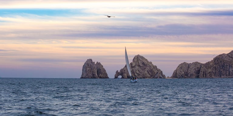 CABO DREAMS