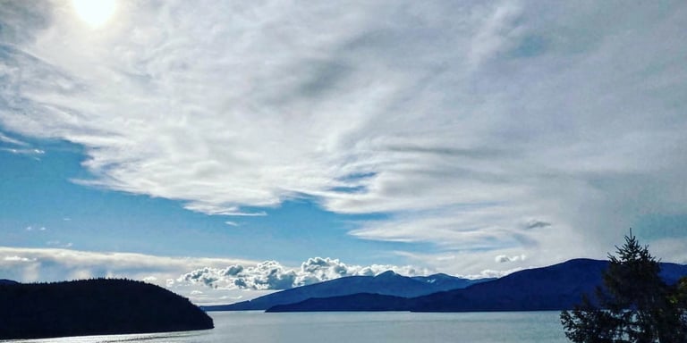 Data storytelling professional