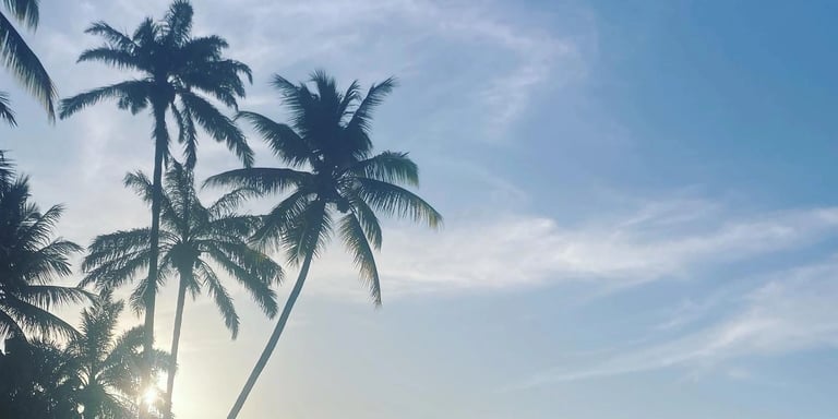 data communication website