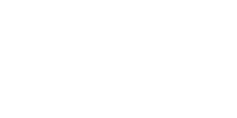 leap sky logo