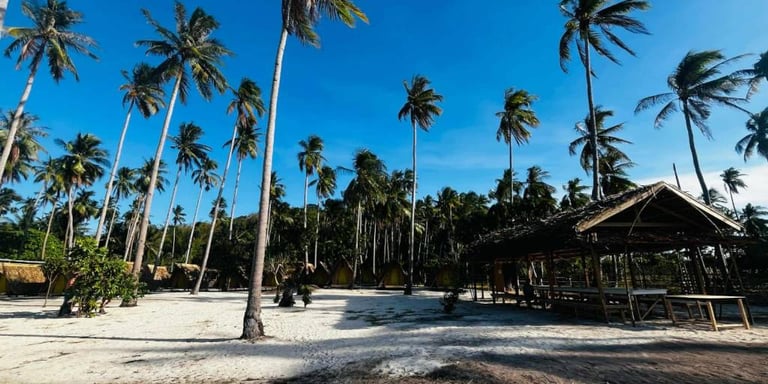 3D2N hut accommodation Linapacan private island