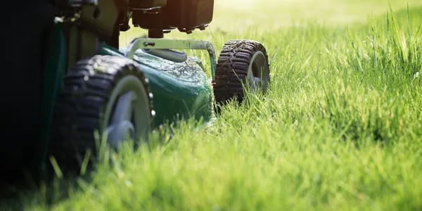 Burnham Tree Services Grass Mowing