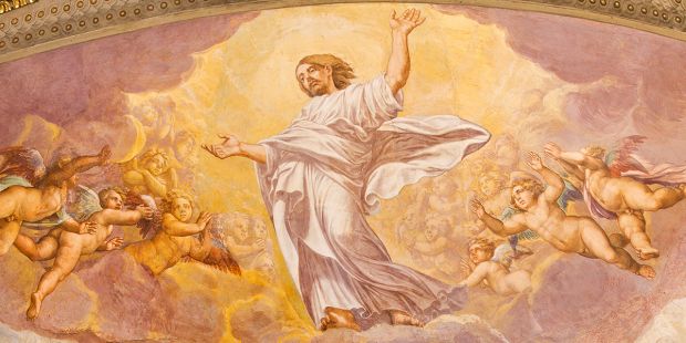 The Ascension's Witness