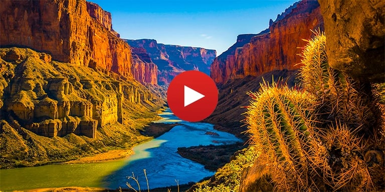 Panoramic sunset over the Grand Canyon with the Colorado River and desert cactus in the foreground.