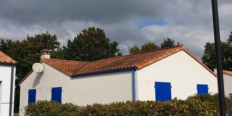 Nettoyage par drone, démoussage de toiture, Nettoyage de panneaux solaires, façade et bardage 