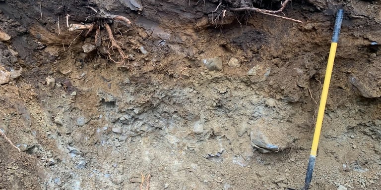 Soil Evaluator Somerville Massachusetts