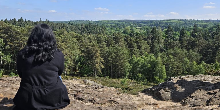 Person looking out at a beautiful scene