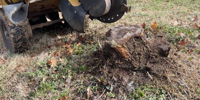 Before grinding on the cherry stump.