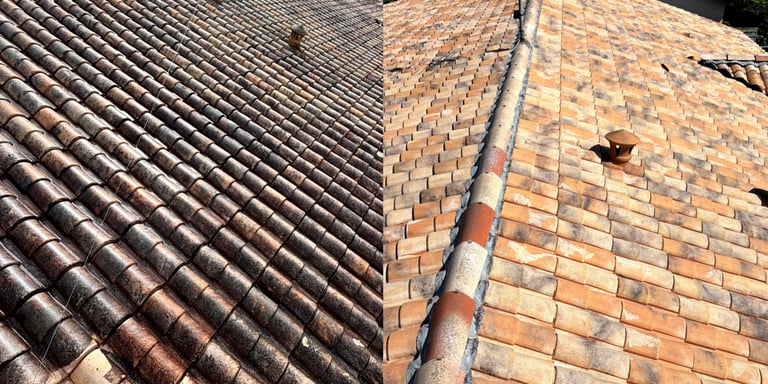 Toiture nettoyage vapeur