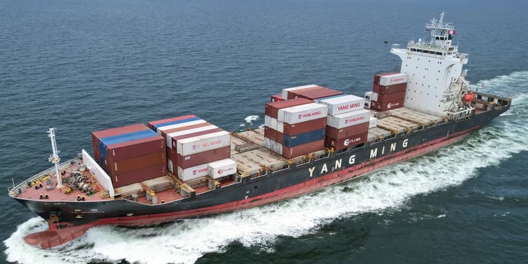 9319090 ym initiative