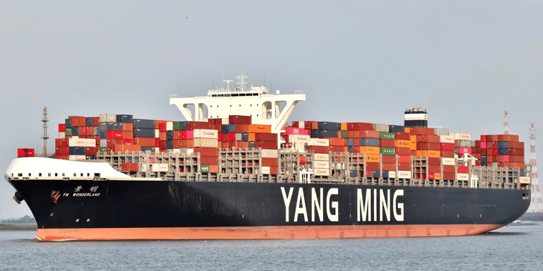 9820910 ym wonderland