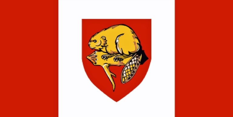 Brantford flag, approved design