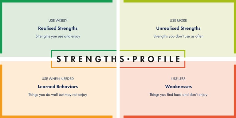 Strengths Profile schematic
