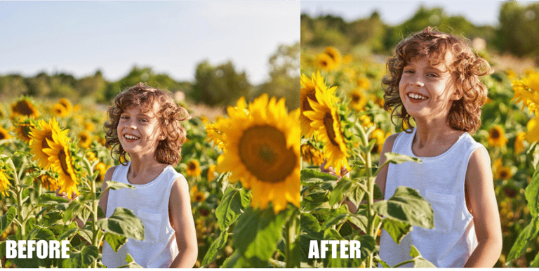 composition-and-image-cropping