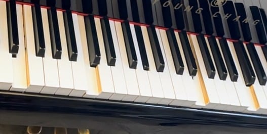 Piano player system