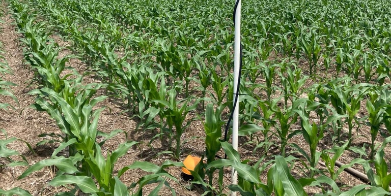 soil moisture sensor