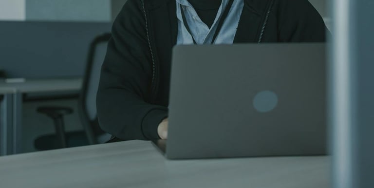 Remote software update and support