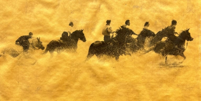 Gold and Platinum photo of a group of people riding horses in the sea