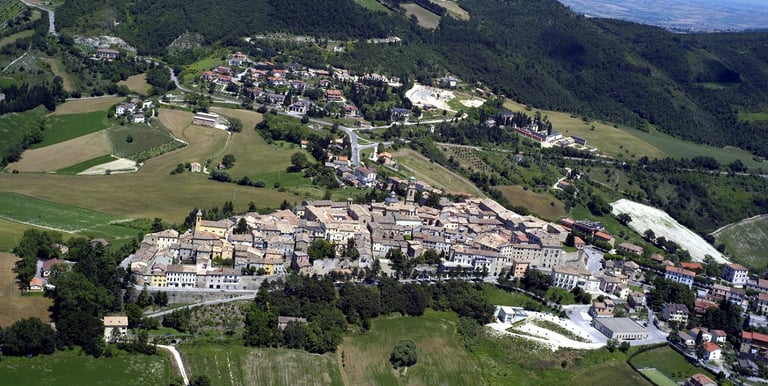 Vigneti e colline panoramiche nelle Marche