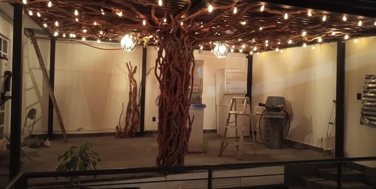 árbol exótico hechos con raíces 
