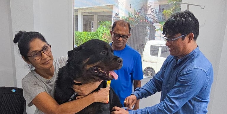 Doctor Jagath 24/7 emergency veterinary care at Pet Pulse Animal Hospital Battaramulla