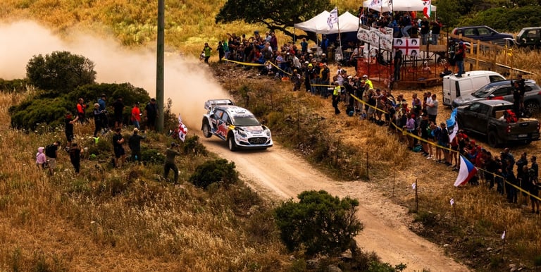 WRC world rally championship