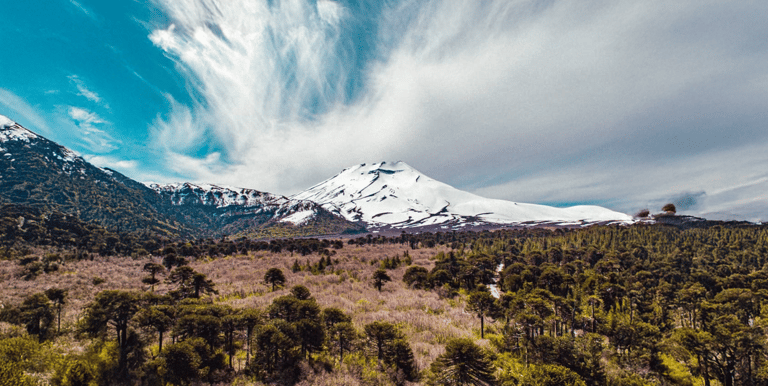 Vista panorámica del Volcán Lonquimay nevado rodeado de bosque nativo y araucarias en la Araucanía A