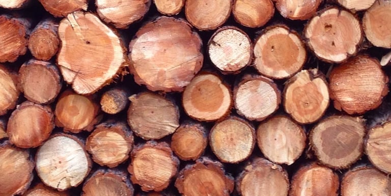 Wood log ends in a stacked pile