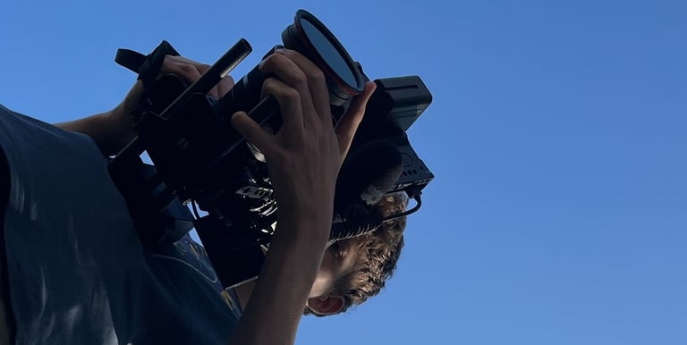 Professionele video's