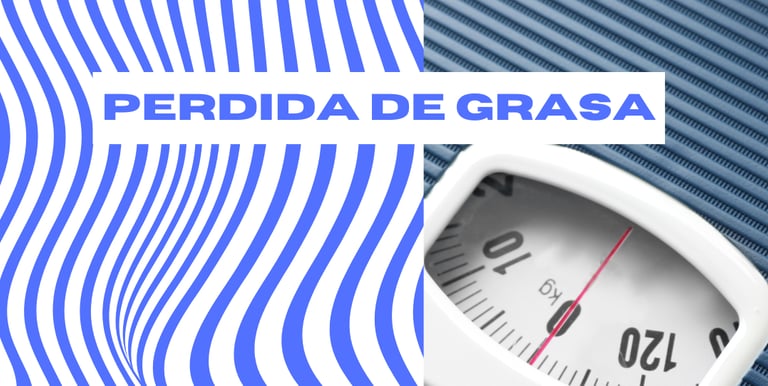"Evaluación personalizada de la pérdida de grasa con planes de nutrición en Granada, Almería y online. Reduce tu porcentaje d