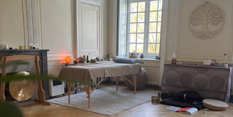 cabinet magnetiseur st jean de boiseau christophe meunier