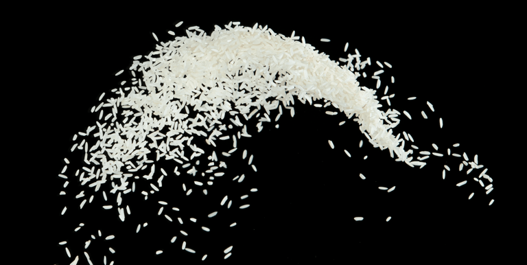 White Raw Rice - WEARE OCEAN EXPORT