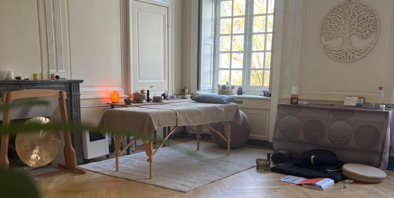 cabinet christophe meunier energeticien chateau du pé st jean de boiseau