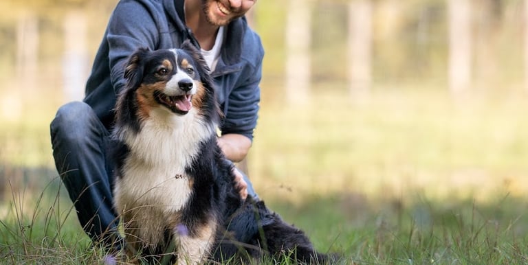 séance d’ecole du chiot en petit groupe chez activ canin à cestas