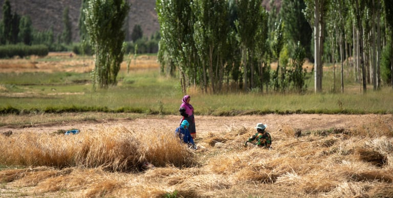 Rural women in agriculture