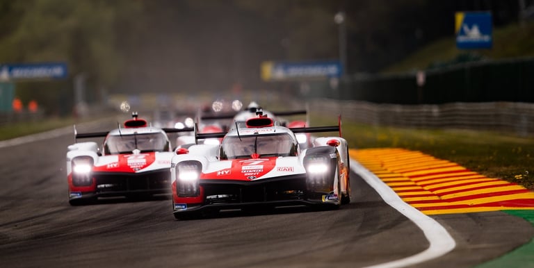 WEC FIA World Endurance Championship