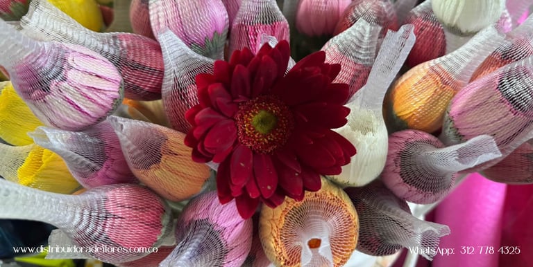 flores al por mayor Mistrató