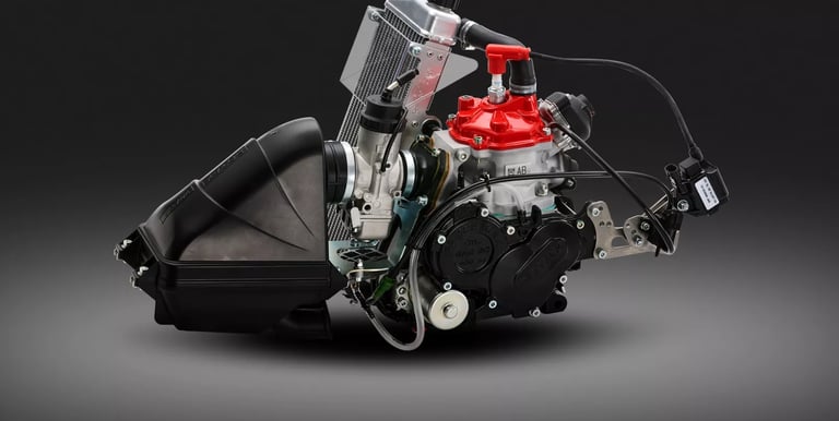 Rotax 125 MAx Evo