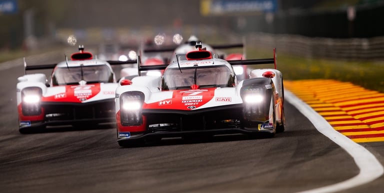 WEC FIA World Endurance Championship