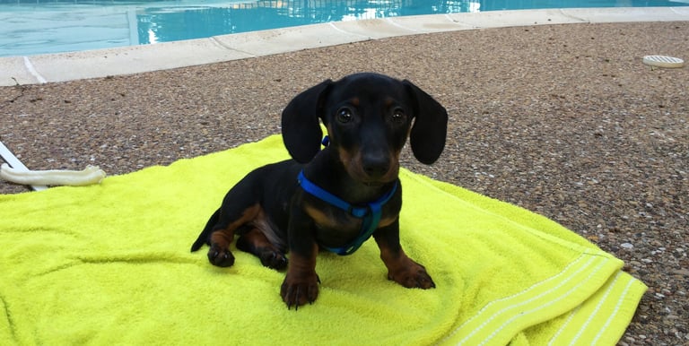 K-SCOOPS.com | Discovering the Scoop Life