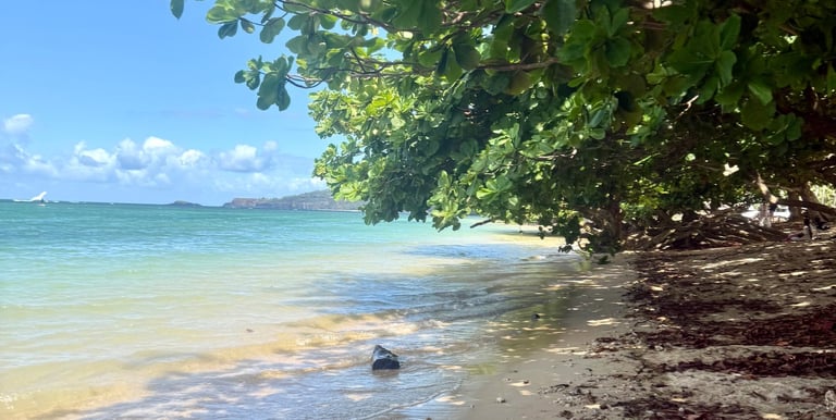 snorkeling Anini beach kauai