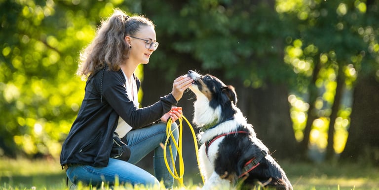 Trainerin beim Hundetraining im Alltag – Takoda Hundeschule Göttingen